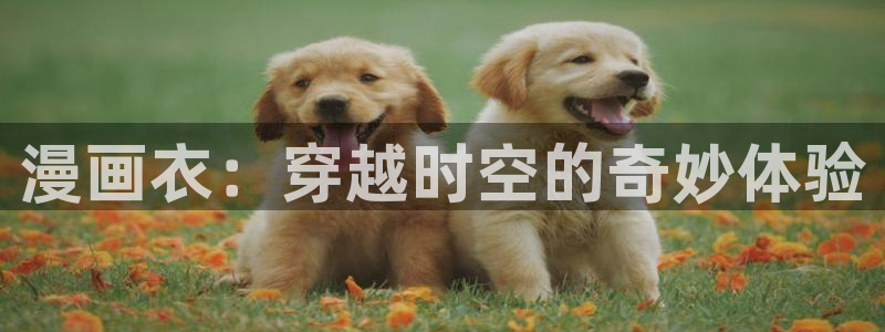 漫蛙manwa漫画网页：漫画衣：穿越时空的奇妙体验
