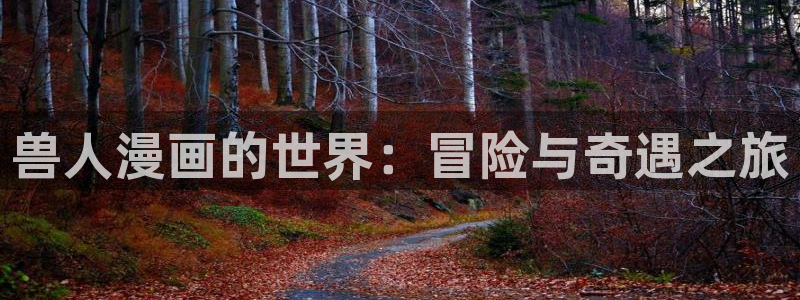 喵日常漫画：兽人漫画的世界：冒险与奇遇之旅