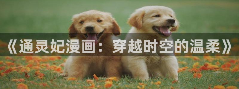 喵趣漫画正版app：《通灵妃漫画：穿越时空的温柔》